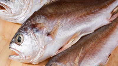 놓치면 후회! 득템 말린조기 리얼 후기 🐟✨