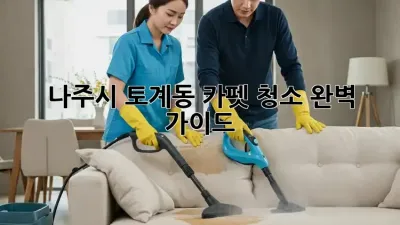 나주시 토계동 카펫 청소, 완벽 가이드!